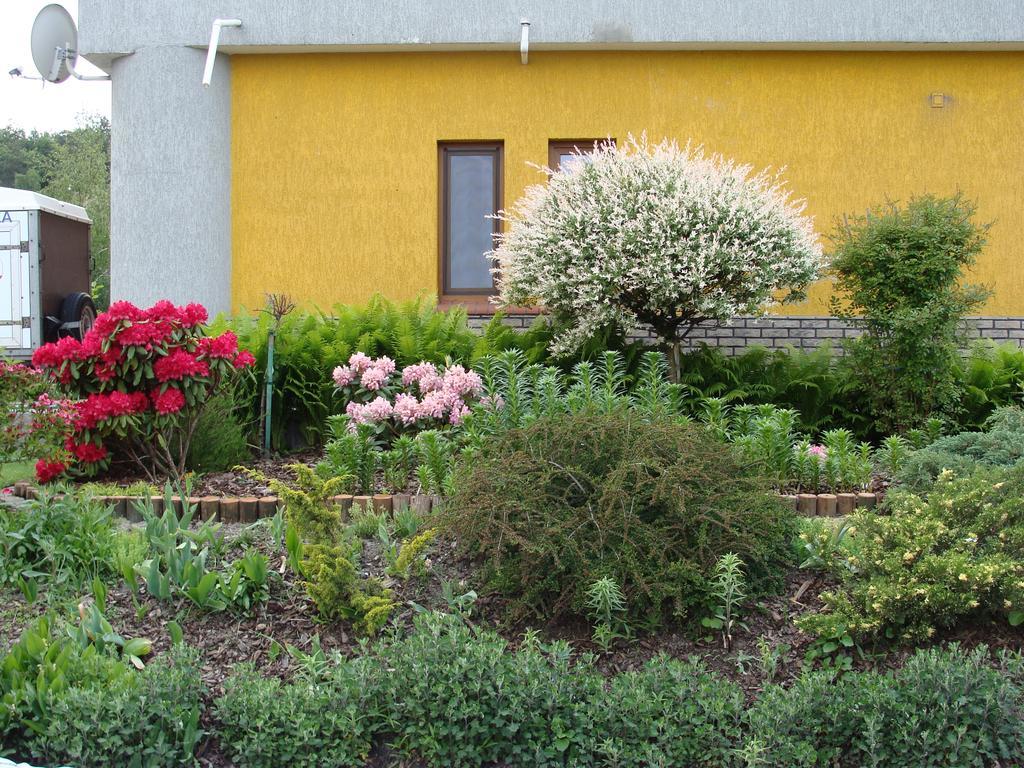 Gospodarstwo Agroturystyczne Ania I Filip Izabelin  Exterior photo